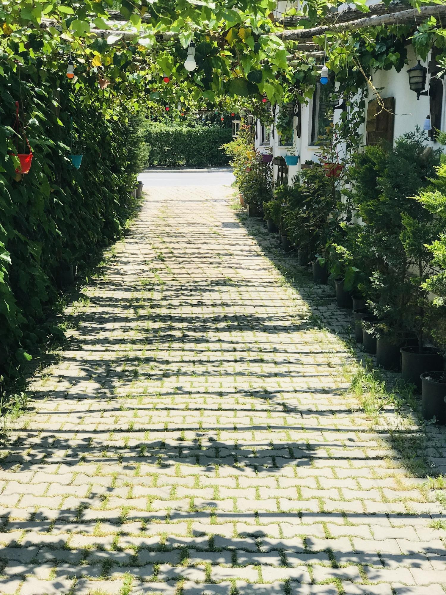 Sahra Butik Hotel 萨潘贾 外观 照片